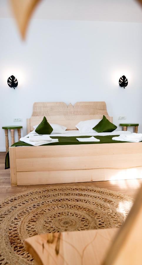 Bed and Breakfast Conacul Olarilor à Baia de Fier Extérieur photo