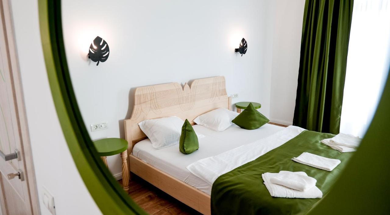 Bed and Breakfast Conacul Olarilor à Baia de Fier Extérieur photo